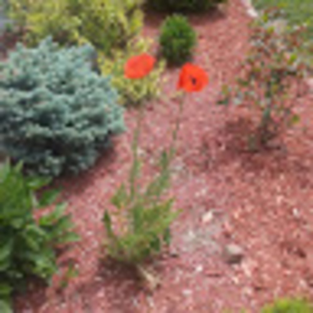 Meet your Posher, Teresa